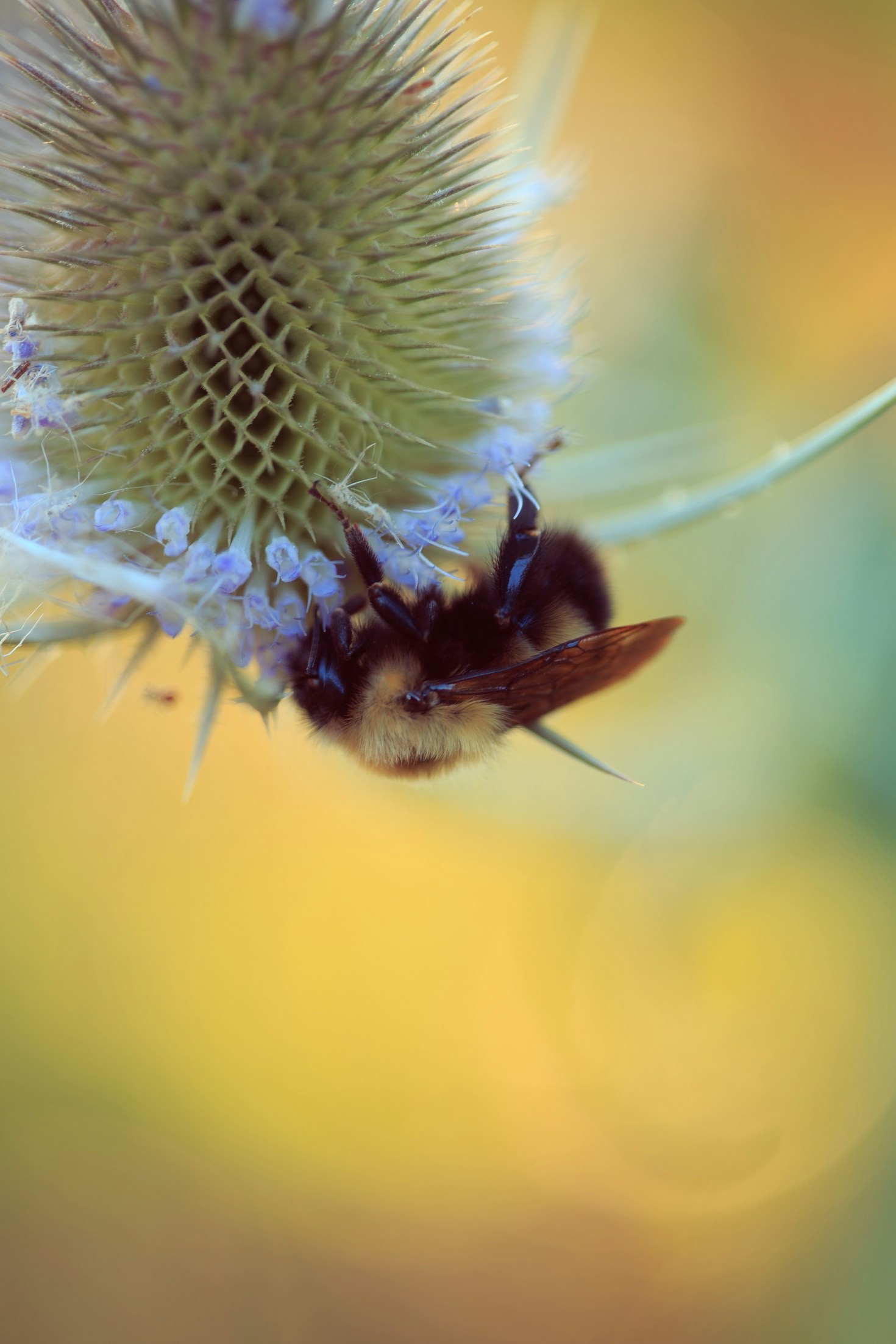 Świadomość ekologiczna – pierwszy krok do zmian