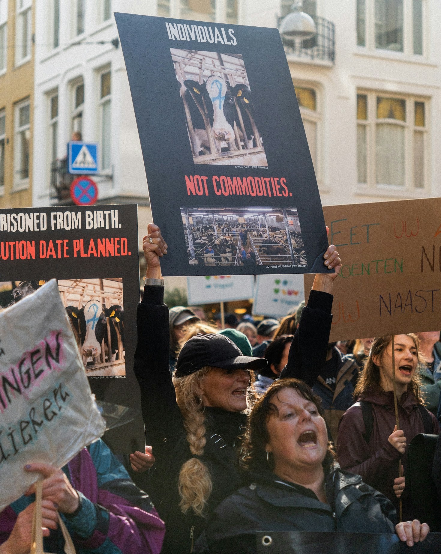 Jak promować etyczne traktowanie zwierząt